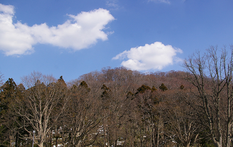 円山