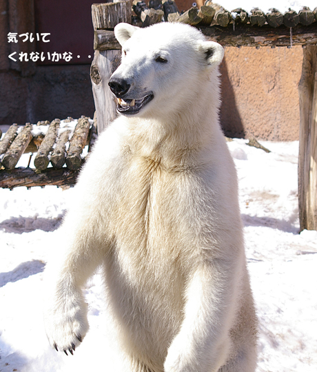 気づいて