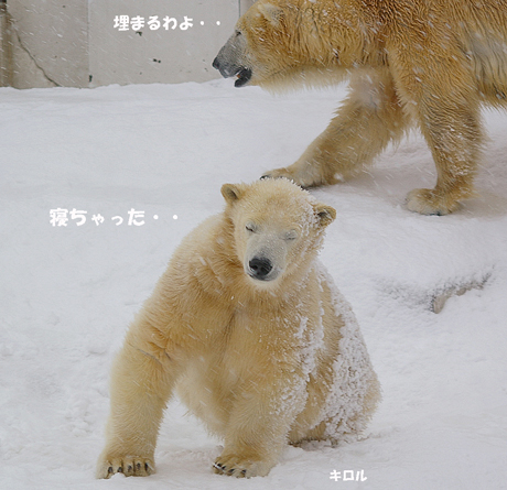 埋まる