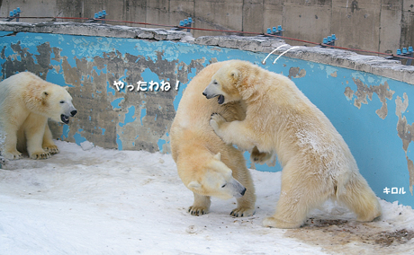 やったわね