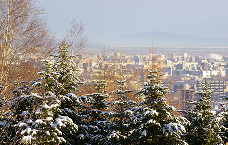 雪景色