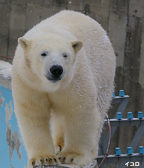 ウインク