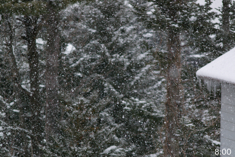 雪