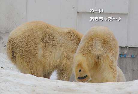 駆け寄る