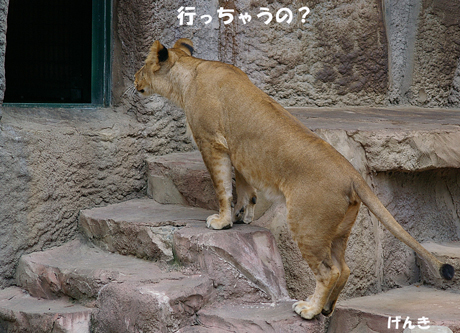 いっちゃう