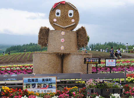 四季彩の丘