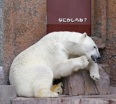 なにかしら