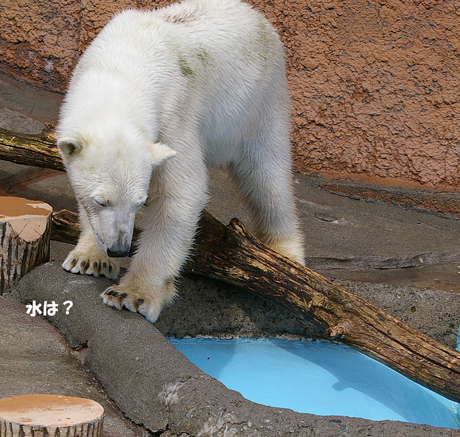 水は