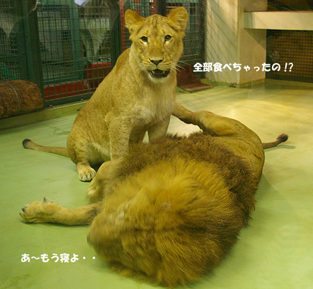 食べちゃったの