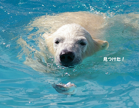 見つけた