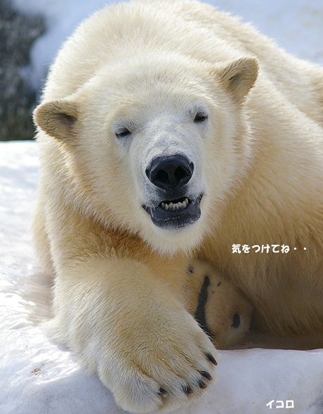 気をつけて