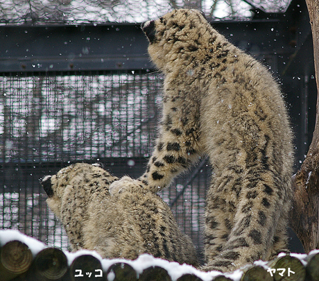 肩に手