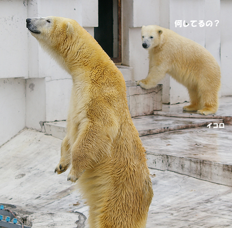 何してる