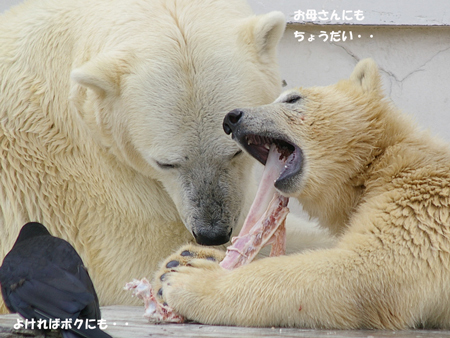 お母さん