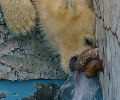 飲む