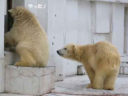 嬉しそう