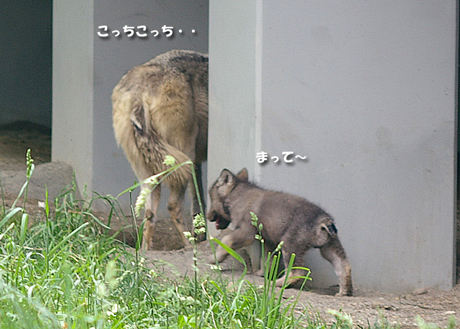 待って