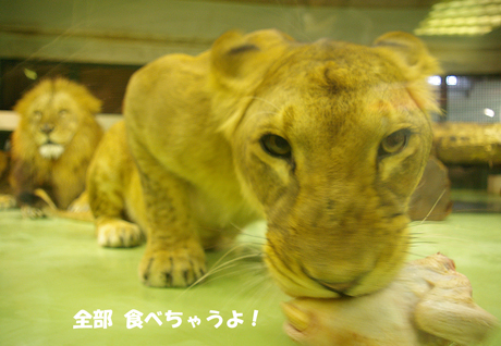 食べちゃう