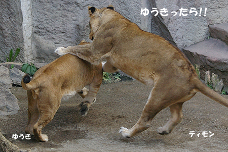 ゆうきったら