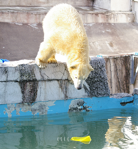 水面