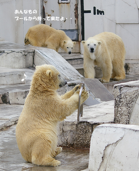 あんなもの