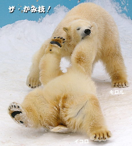 噛み技