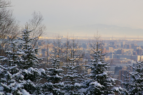 雪