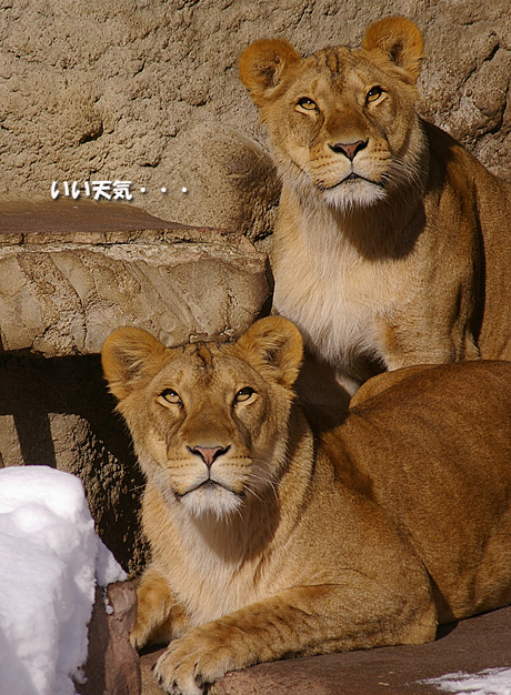 いい天気