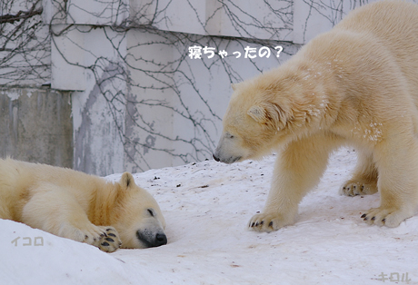 寝ちゃった