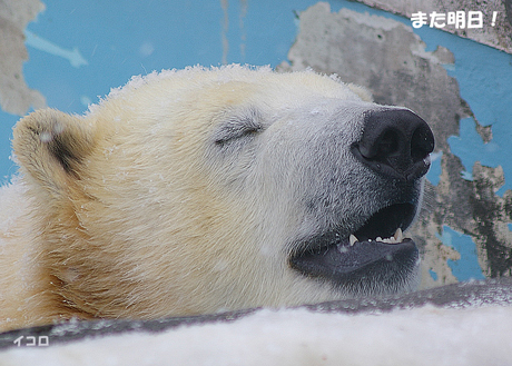 また明日