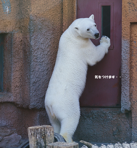 気をつける