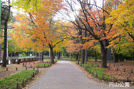 円山公園