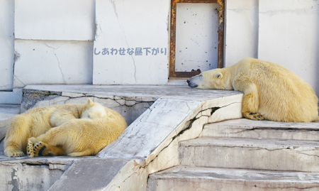 幸せ