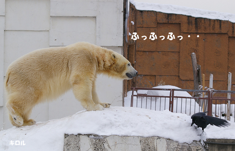 追いつめる