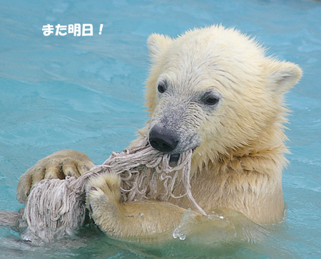 また明日