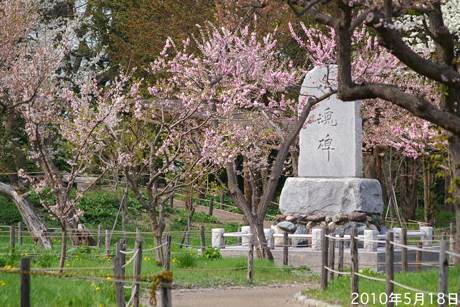 北海道神宮