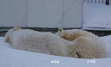 うたたね