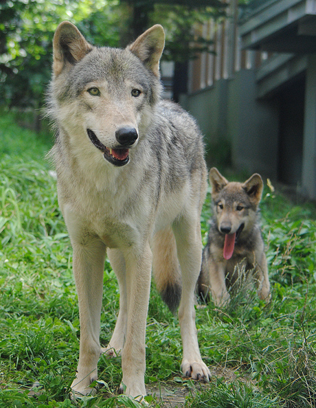 ジェイと子供