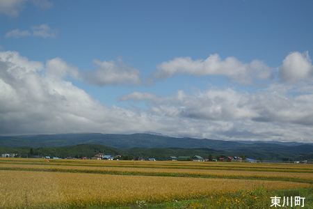 東川