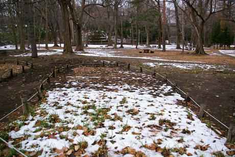 円山公園