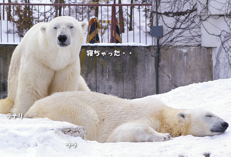 寝ちゃった