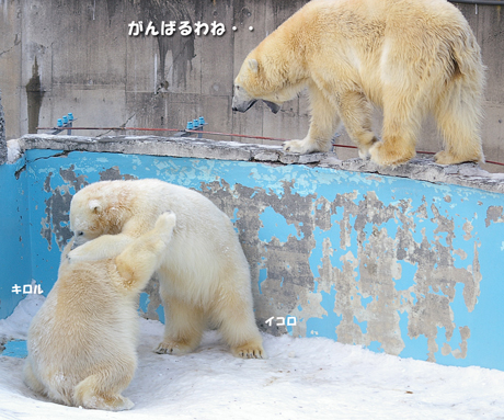 がんばる