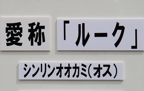 ルーク