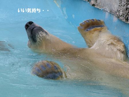 いい気持ち