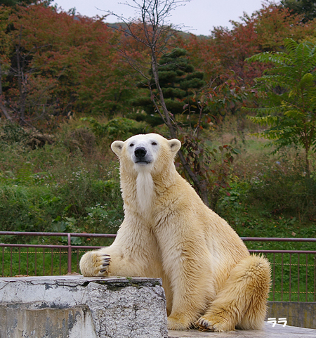 どんより