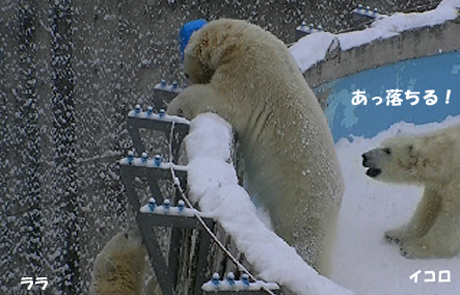 落ちる