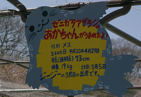看板