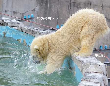 今のうち