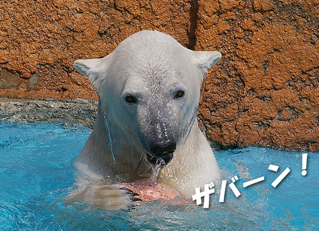 ザバーン