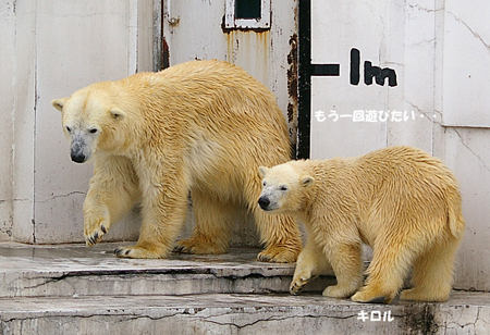 もう一回